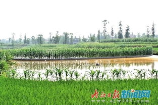 普潤?quán)l(xiāng)蔡家店村 水利設(shè)施改善助力村民發(fā)展水產(chǎn)養(yǎng)殖